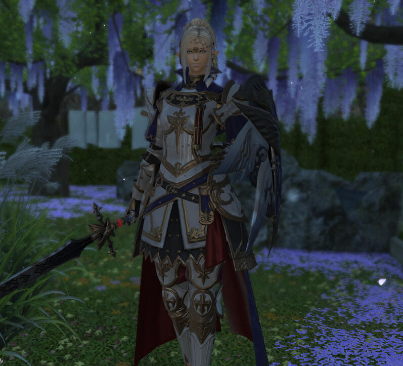 The Knight